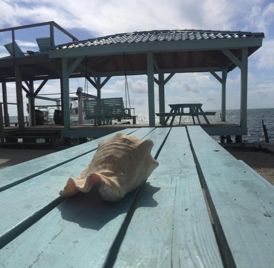 Pura Vida Inn Caye Caulker Bagian luar foto